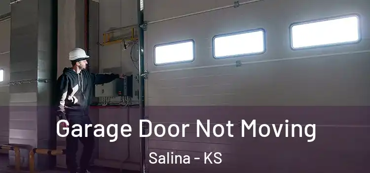  Garage Door Not Moving Salina - KS