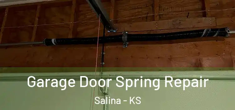  Garage Door Spring Repair Salina - KS