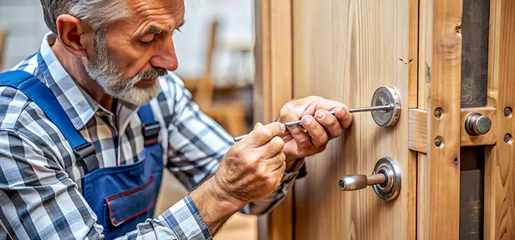Mortise Replacement Lock Salina